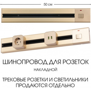 Электроустановочный шинопровод Am-track-sockets 385205TOB/50 Gold