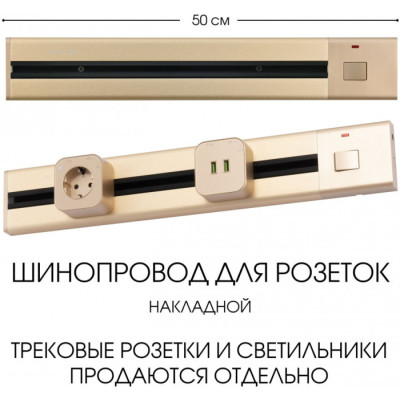 Электроустановочный шинопровод Am-track-sockets 385205TOB/50 Gold