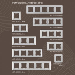Розетка am-203 203.45-2.silver