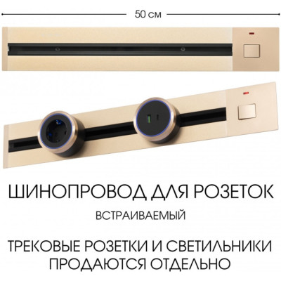 Электроустановочный шинопровод Am-track-sockets 385205TBB/50 Gold