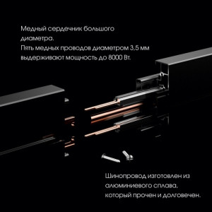 Трековая розетка Am-track-sockets 380066TS LED/ES Gold