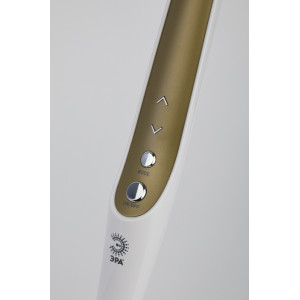 Офисная настольная лампа  NLED-496-12W-G