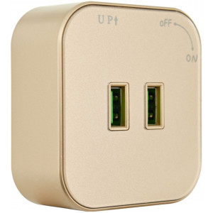 Трековая розетка Am-track-sockets 380022TS/USBx2 Gold