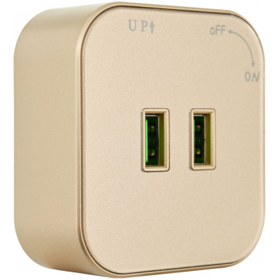 Трековая розетка Am-track-sockets 380022TS/USBx2 Gold