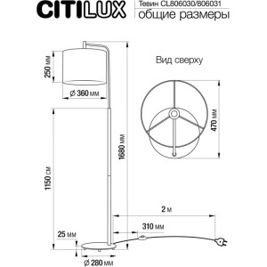 Торшер Тевин CL806031
