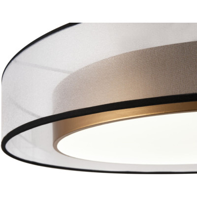 Потолочный светильник Zoticus FR6005CL-L48G