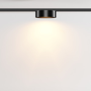 Трековый светильник Zon TR189-1-12W2.7K-B