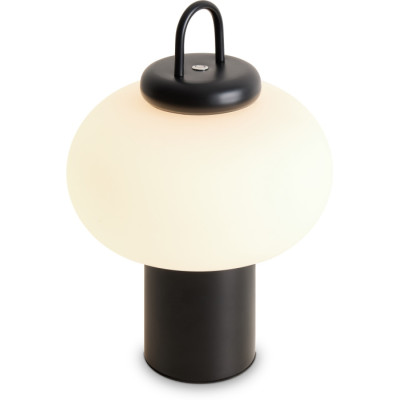 Интерьерная настольная лампа Take FR6175TL-L10B