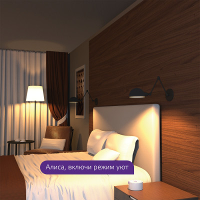 Лампочка светодиодная филаментная Smart Home 1200112