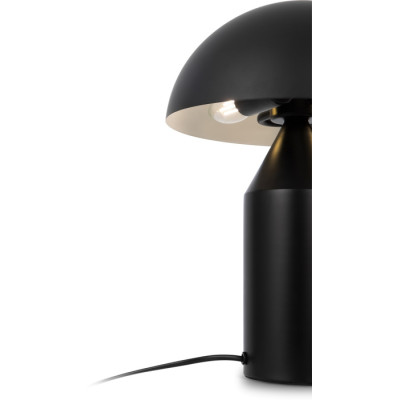 Интерьерная настольная лампа Eleon FR5218TL-02B1
