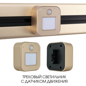 Трековая подсветка Am-track-sockets 380022TLS/LWS Gold