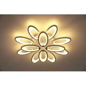 Потолочная люстра  10238/12LED