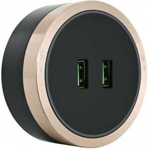 Трековая розетка Am-track-sockets 380066TS LED/USBx2 Gold