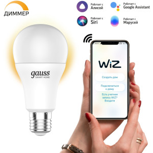 Лампочка светодиодная Smart Home 1050112