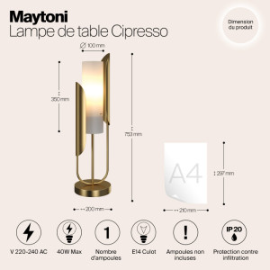 Интерьерная настольная лампа Сipresso Z014TL-01G