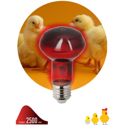 Лампочка инфракрасная  ИКЗК 230-60 R63 Е27