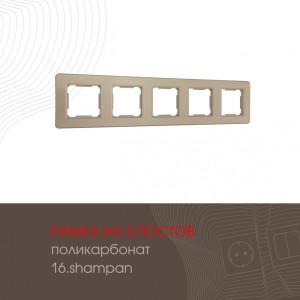 Рамка am-502.16 502.16-5.shampan