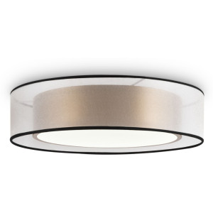 Потолочный светильник Zoticus FR6005CL-L36G