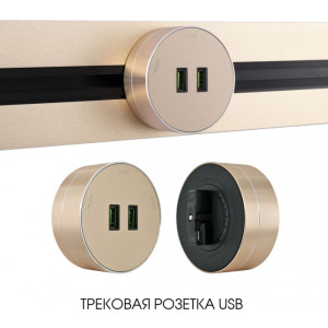 Трековая розетка Am-track-sockets 380011TS/USBx2 Gold