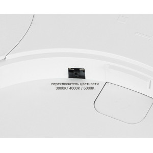 Потолочный светильник  IT011-5024 black