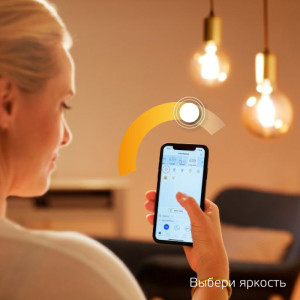 Лампочка светодиодная филаментная Smart Home 1230112