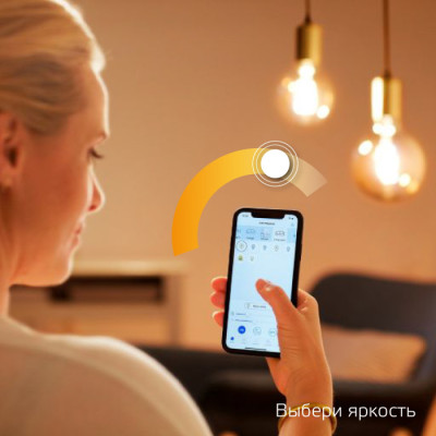 Лампочка светодиодная филаментная Smart Home 1230112