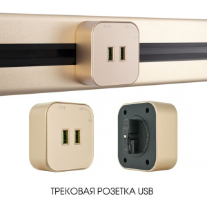 Трековая розетка Am-track-sockets 380022TS/USBx2 Gold