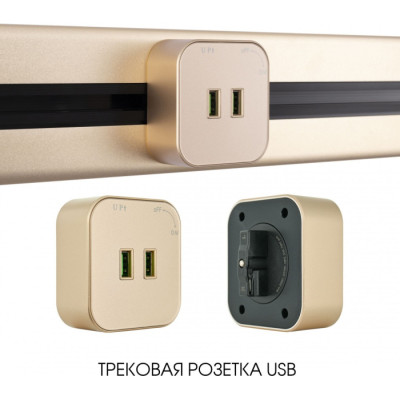 Трековая розетка Am-track-sockets 380022TS/USBx2 Gold