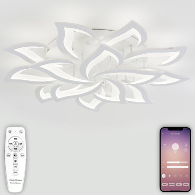 Потолочная люстра Olimp LED LAMPS 81335