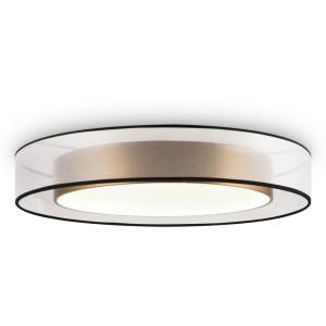 Потолочный светильник Zoticus FR6005CL-L48G