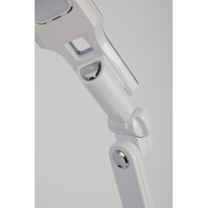 Офисная настольная лампа  NLED-496-12W-S