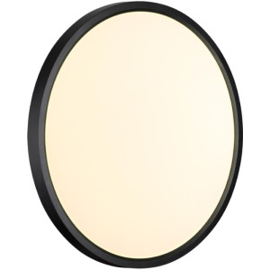 Настенно-потолочный светильник Alfa Black 7660/32L
